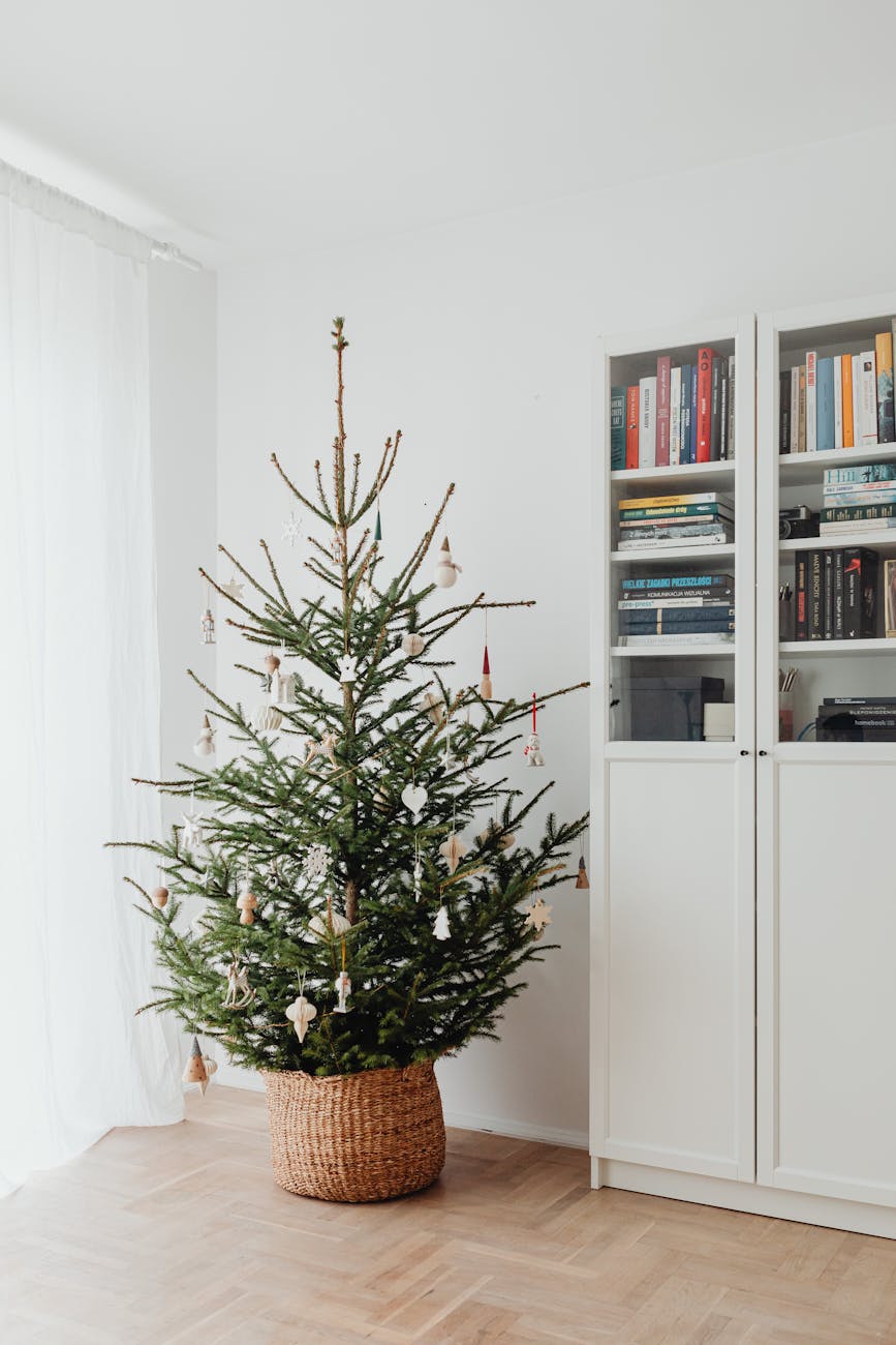 Where Grief Meets Grace: A Holiday Reflection